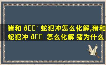 猪和 🐴 蛇犯冲怎么化解,猪和蛇犯冲 🐠 怎么化解 猪为什么是蛇的天敌